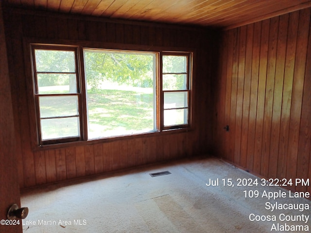 unfurnished room featuring light carpet, a healthy amount of sunlight, and wooden ceiling