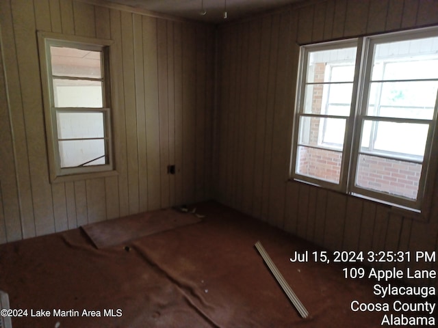 spare room featuring wood walls