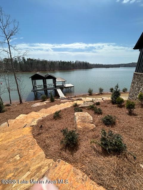 dock area with a water view