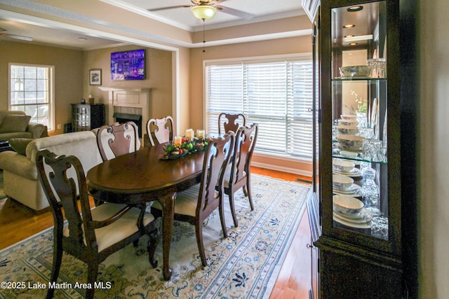 dining space featuring ceiling fan, hardwood / wood-style floors, ornamental molding, and a fireplace