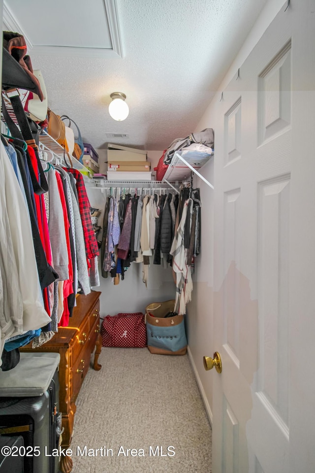 view of walk in closet