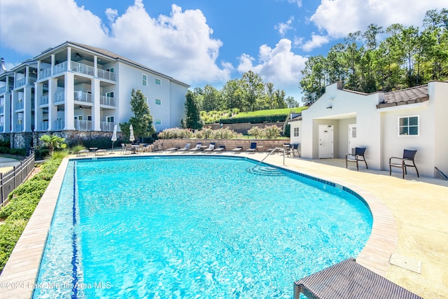 view of swimming pool with a patio