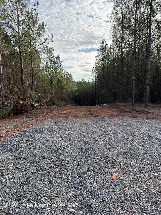 908 S Pineforest Dr, Dadeville AL, 36853 land for sale