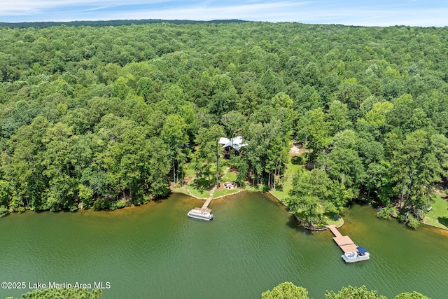 535 Bow Rd, Dadeville, AL 36853 - photo 41