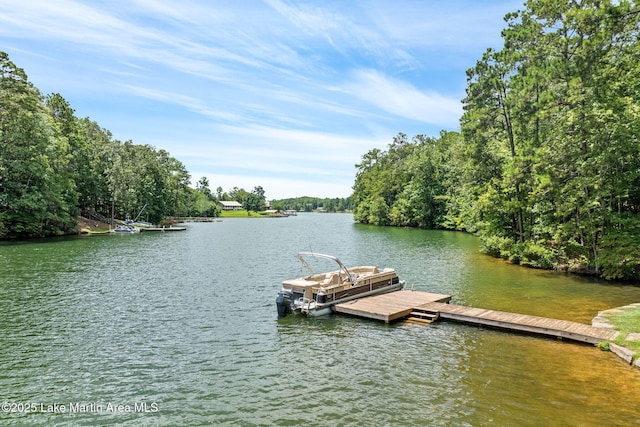 535 Bow Rd, Dadeville, AL 36853 - photo 43
