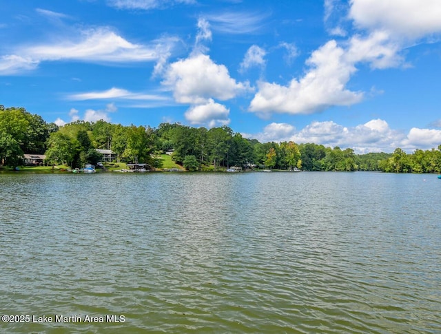 24 Hideaway Cir, Jacksons Gap, AL 36861 - property view of water