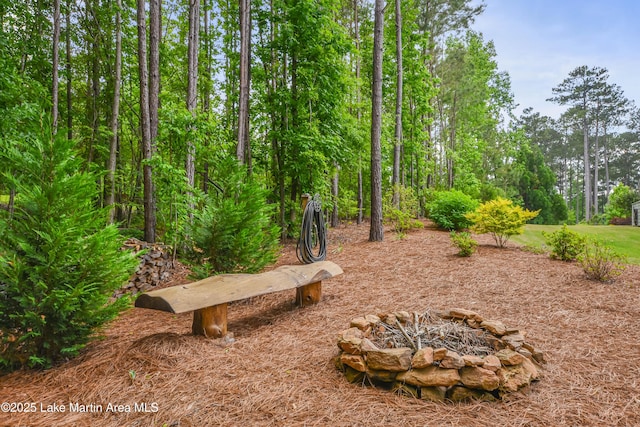 24 Hideaway Cir, Jacksons Gap, AL 36861 - view of yard with an outdoor fire pit
