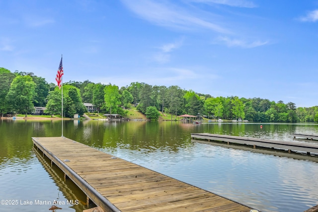 24 Hideaway Cir, Jacksons Gap, AL 36861 - view of dock featuring a water view