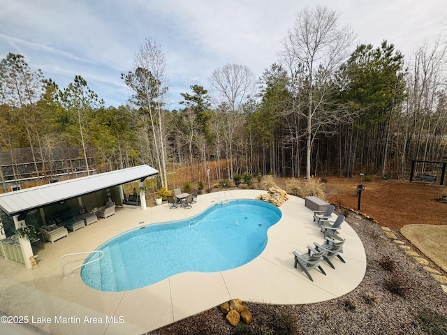 view of pool featuring a patio area and an outdoor bar