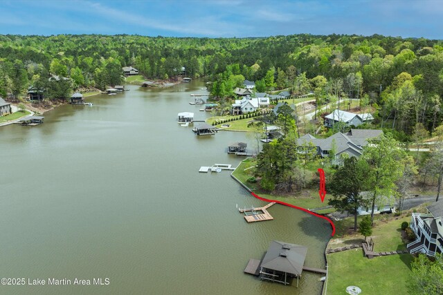 LOTSB21 Shady Bay Dr, Jacksons Gap, AL 36861 - photo 9
