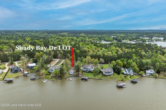 LOTSB21 Shady Bay Dr, Jacksons Gap, AL 36861 - photo 8
