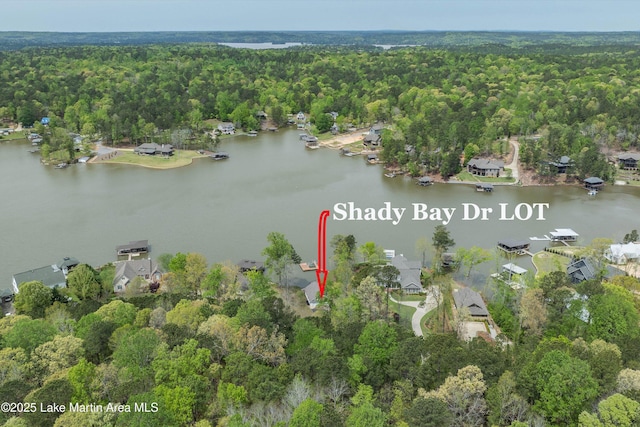 LOTSB21 Shady Bay Dr, Jacksons Gap, AL 36861 - photo 10