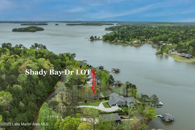 LOTSB21 Shady Bay Dr, Jacksons Gap, AL 36861 - photo 11