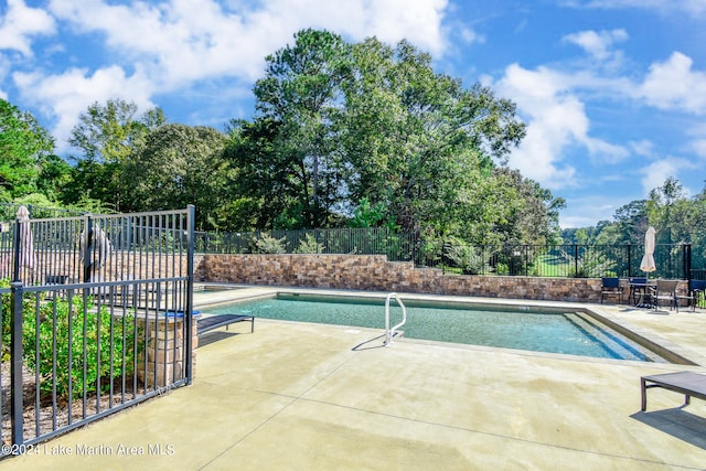 view of pool with a patio area