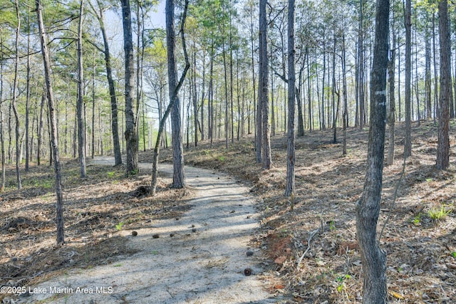 110 Village Loop Unit A103, Dadeville, AL 36853 - view of street with a wooded view