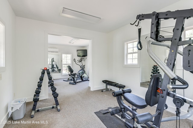 110 Village Loop Unit A103, Dadeville, AL 36853 - workout room with plenty of natural light, a wall mounted air conditioner, and carpet flooring