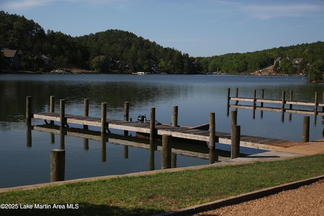 110 Village Loop Unit A103, Dadeville, AL 36853 - dock area featuring a water view and a view of trees