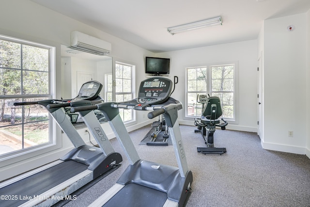 110 Village Loop Unit A103, Dadeville, AL 36853 - exercise room with an AC wall unit and carpet floors