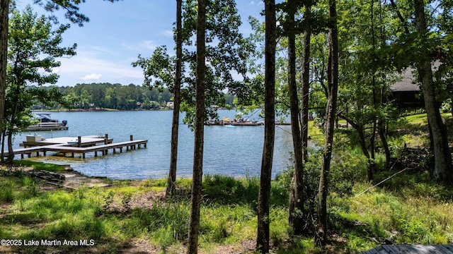 2147 Bulgers Mill Way, Alexander City, AL 35010