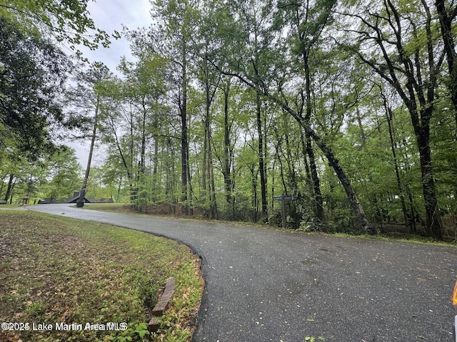 LOT17 S Turkey Trot, Dadeville AL, 36853 land for sale