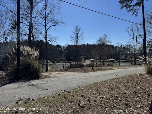 Listing photo 3 for LOT17 S Turkey Trot, Dadeville AL 36853