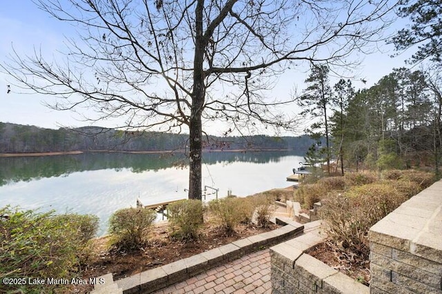 1689 River Oaks Dr, Jacksons Gap, AL 36861 - water view