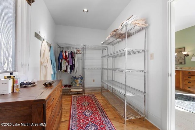 1689 River Oaks Dr, Jacksons Gap, AL 36861 - walk in closet featuring wood finished floors