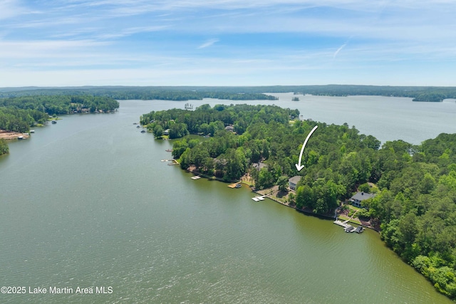 1689 River Oaks Dr, Jacksons Gap, AL 36861 - bird's eye view of a nearby body of water