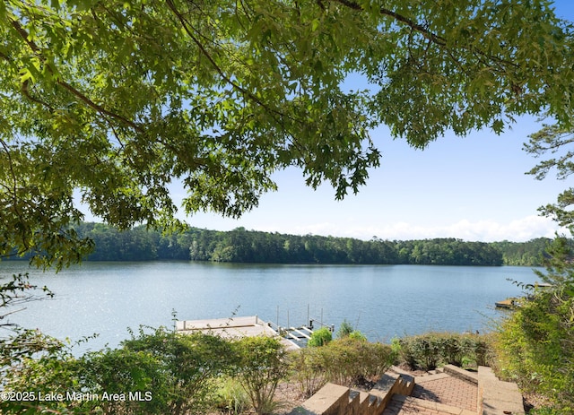 1689 River Oaks Dr, Jacksons Gap, AL 36861 - water view featuring a dock and a heavily wooded area