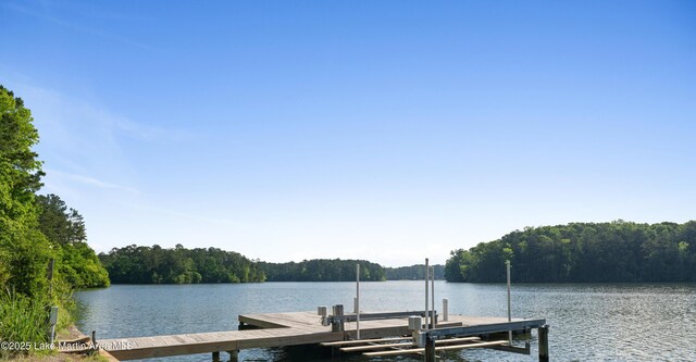 1689 River Oaks Dr, Jacksons Gap, AL 36861 - dock area with a view of trees and a water view