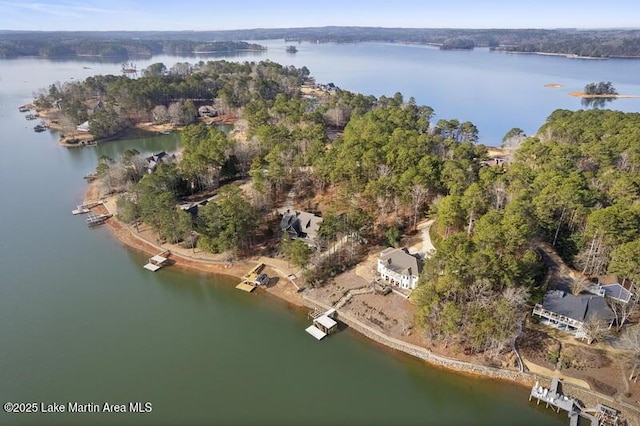 1689 River Oaks Dr, Jacksons Gap, AL 36861 - aerial overview of property's location with a nearby body of water