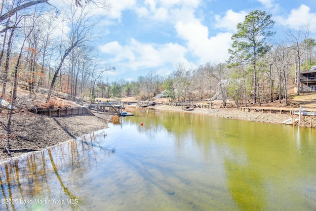 view of water feature with a boat dock