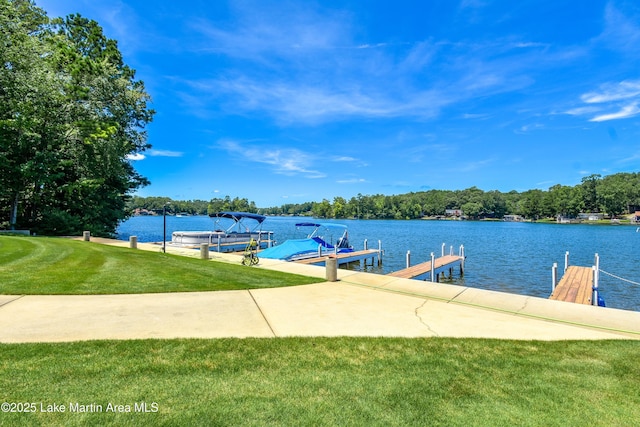 100 Bay Point Dr, Alexander City, AL 36853 - photo 61