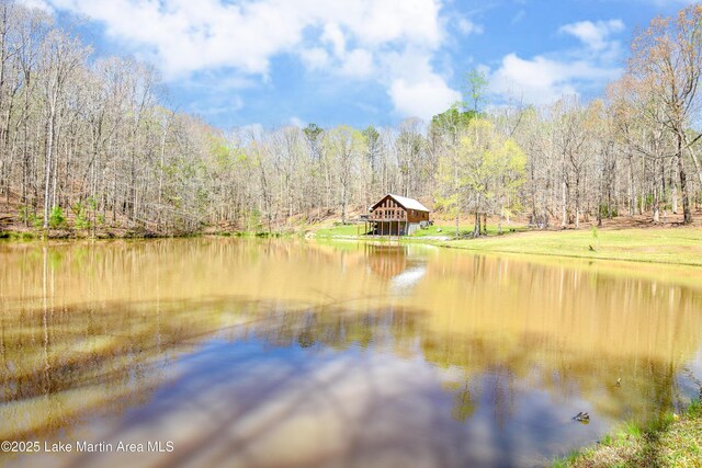 473 Racoon Trl, Goodwater, AL 35072 - photo 11
