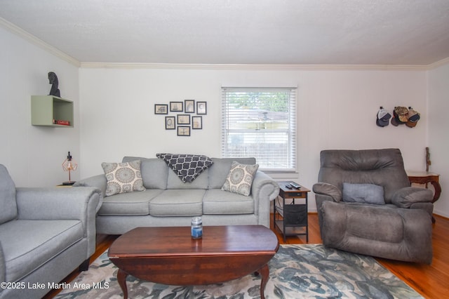 241 14th Ave, Alexander City, AL 35010 - photo 13