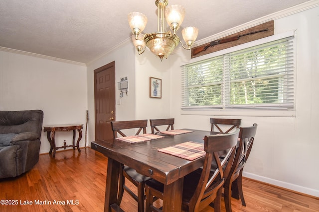 241 14th Ave, Alexander City, AL 35010 - photo 17