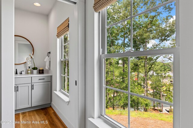 224 Village Trl, Dadeville, AL 36853 - doorway featuring wood finished floors, healthy amount of natural light, recessed lighting, baseboards, and a sink