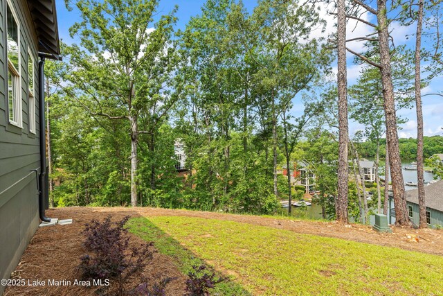 224 Village Trl, Dadeville, AL 36853 - view of yard