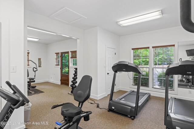 224 Village Trl, Dadeville, AL 36853 - workout room with attic access, carpet, and baseboards