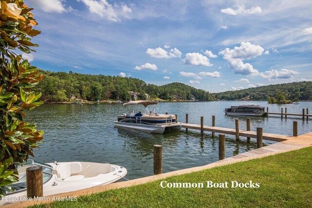 224 Village Trl, Dadeville, AL 36853 - dock area with a water view and a forest view