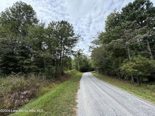 Listing photo 2 for 19/-ACRE Sasser Rd, Kellyton AL 35089