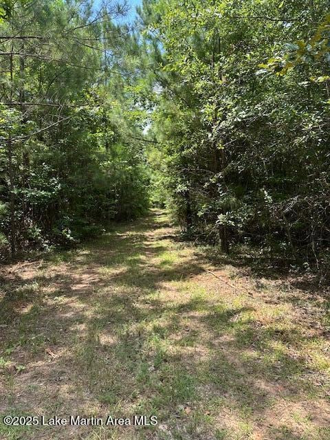 0 Edgeview Dr, Dadeville, AL 36853 - photo 5