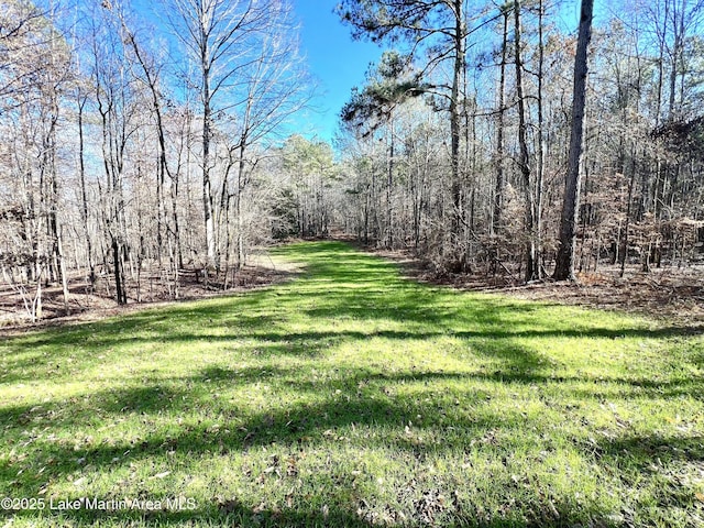 Listing photo 3 for PARCEL3 Pearson Chapel Rd, Goodwater AL 35072