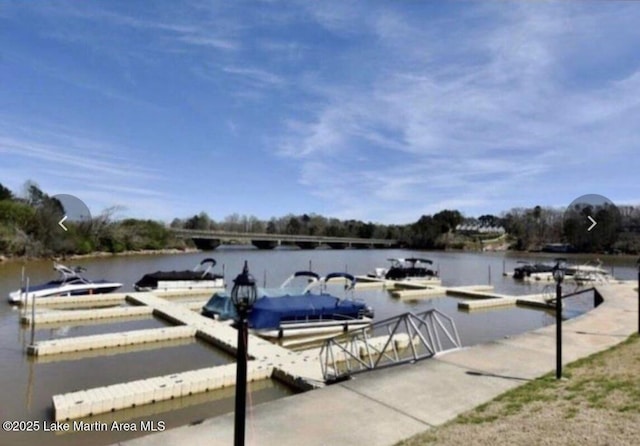 dock area with a water view