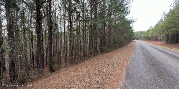 24/- Pleasant Rd, Camp Hill, AL 36850 - photo 20