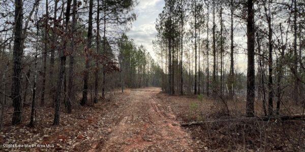 24/- Pleasant Rd, Camp Hill, AL 36850 - photo 13