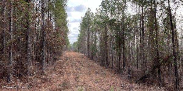 24/- Pleasant Rd, Camp Hill, AL 36850 - photo 8