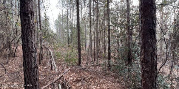24/- Pleasant Rd, Camp Hill, AL 36850 - photo 12
