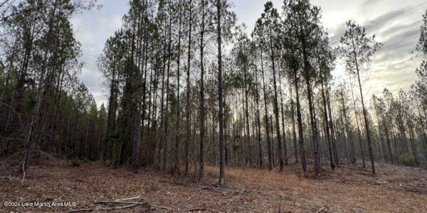 24/- Pleasant Rd, Camp Hill, AL 36850 - photo 10