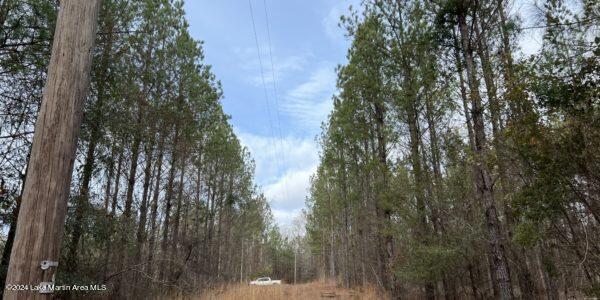 24/- Pleasant Rd, Camp Hill, AL 36850 - photo 18